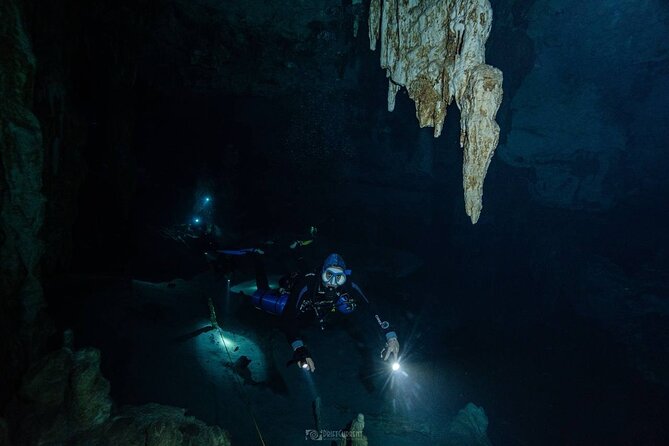 Diving in Cenotes: Discovering the Mayan Underworld - Discovering the Underworlds Beauty