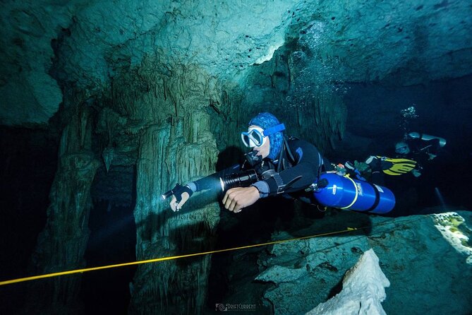 Diving in Cenotes: Discovering the Mayan Underworld - Memorable Moments Beneath the Surface