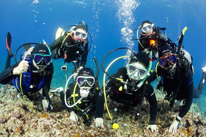 Diving in Kansai, Japan for License Holders - Key Points