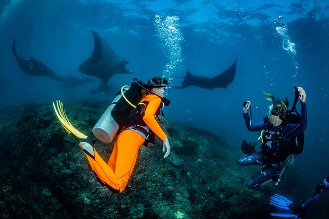 Diving in Nusa Penida - Good To Know