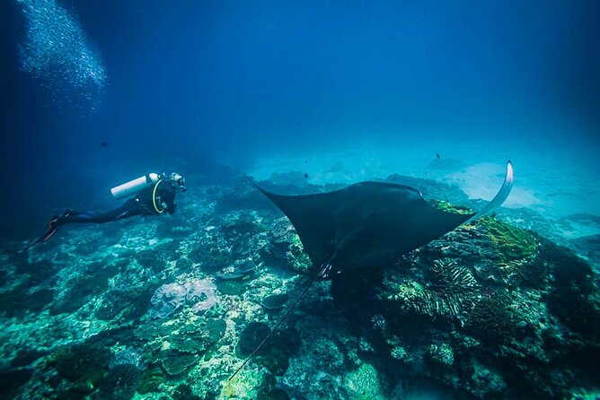 Diving in Nusa Penida - Preparing for the Diving Adventure