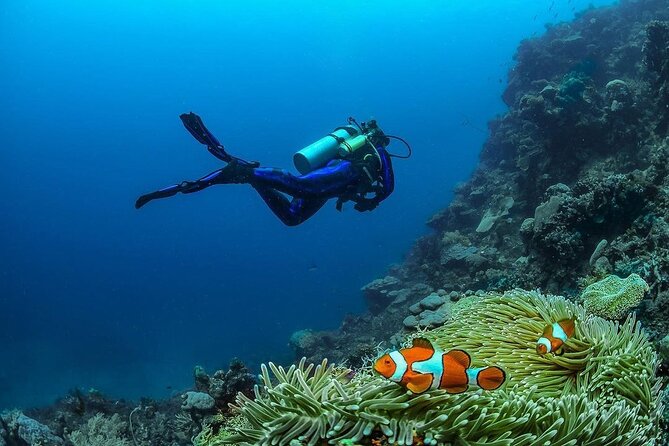 Diving in Nusa Penida - Booking Process and Confirmation