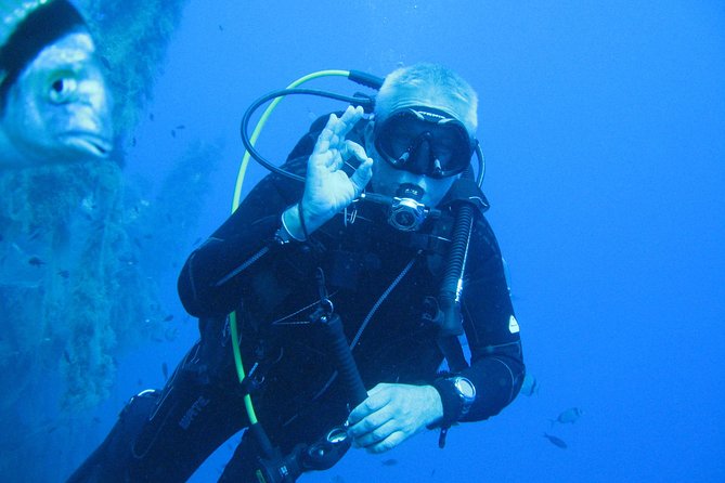 Diving in Paphos (2 X Shore Dive + Photos) - Highlights of the Experience