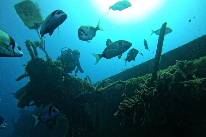 Diving in Paphos (2 X Shore Dive + Photos) - Experiences of Past Visitors