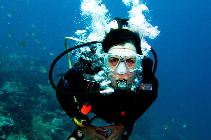 Diving in the Mediterranean Sea - Customer Feedback and Experiences