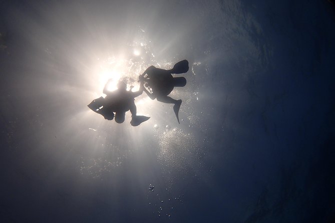 Diving in the Mexican Caribbean for Beginners | 2 Tanks 2 Dives | All Inclusive - Important Medical and Safety Considerations