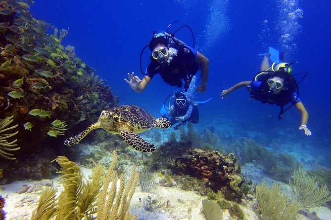 Diving in the Mexican Caribbean for Beginners | 2 Tanks 2 Dives | All Inclusive - Frequently Asked Questions