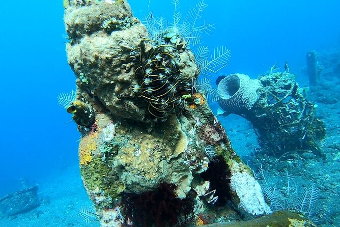 Diving in Tulamben - Diving Equipment and Certification