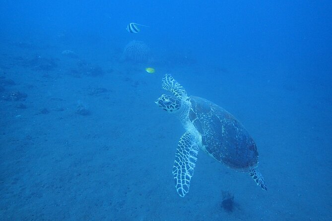 Diving in Tulamben - Onsite Amenities and Facilities