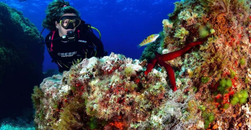 Diving Is Fun!!! for Certified Divers - Key Points