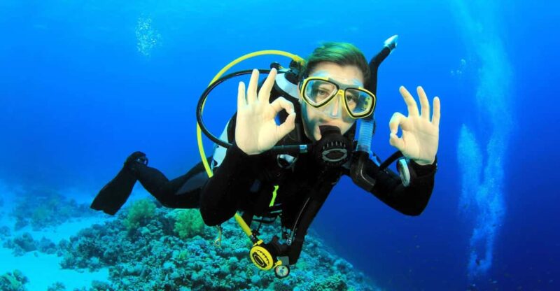 Diving + MUSA - Itinerary and Highlights