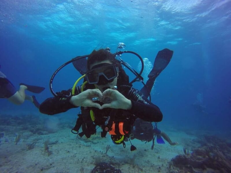 Diving + MUSA - Inclusions and Equipment