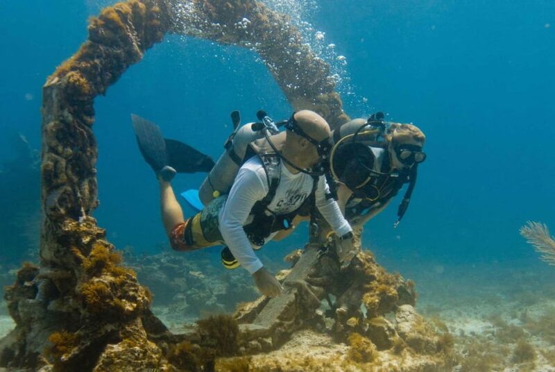 Diving + MUSA - Check-in and Important Information