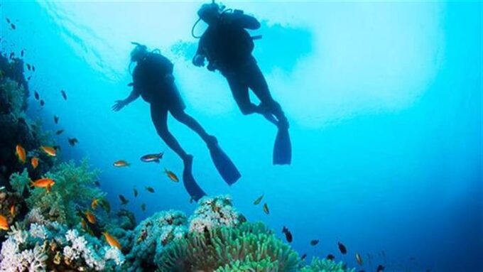 Diving + MUSA - Diving in Manchones Reef