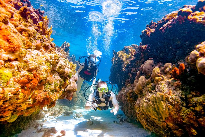 Diving or Snorkeling Boat Tour With Lunch and Drinks - Hurghada - Pickup and Dropoff