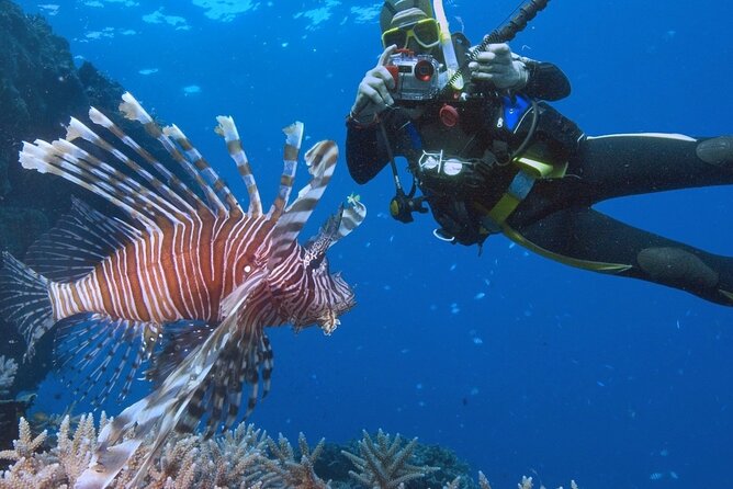 Diving or Snorkeling Boat Tour With Lunch and Drinks - Hurghada - Accessibility and Participation