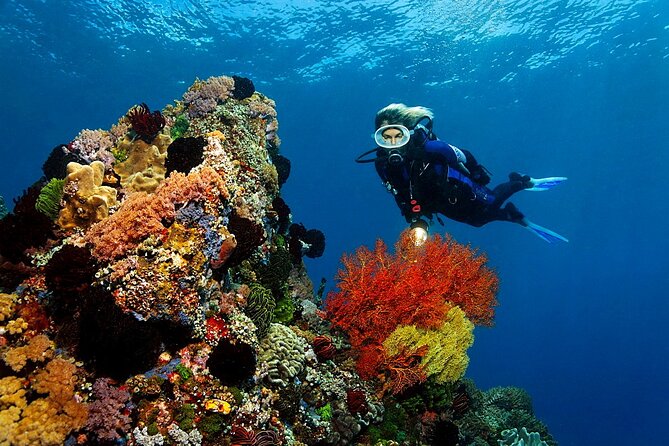 Diving or Snorkeling Boat Tour With Lunch and Drinks - Hurghada - Reviews and Ratings