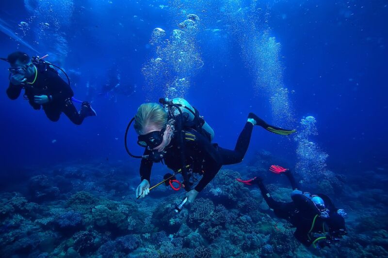 Diving Tour in Alanya - Key Points