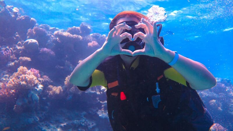 Diving Tour in Alanya - Participant Requirements
