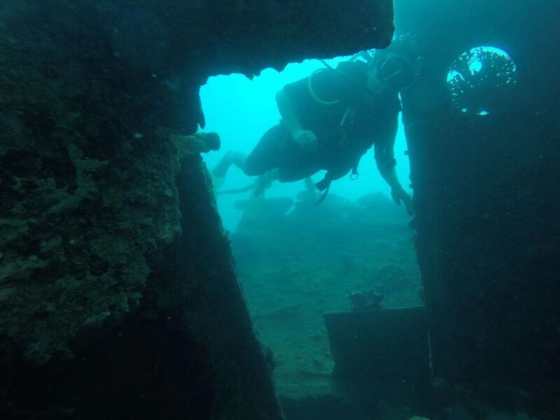 Diving Tour Karimunjawa (Private Tour) - Key Points