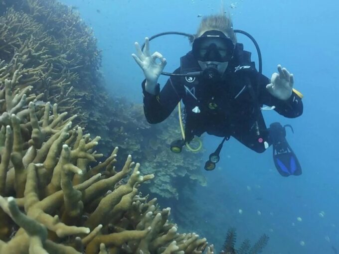 Diving Tour Karimunjawa (Private Tour) - Cancellation Policy