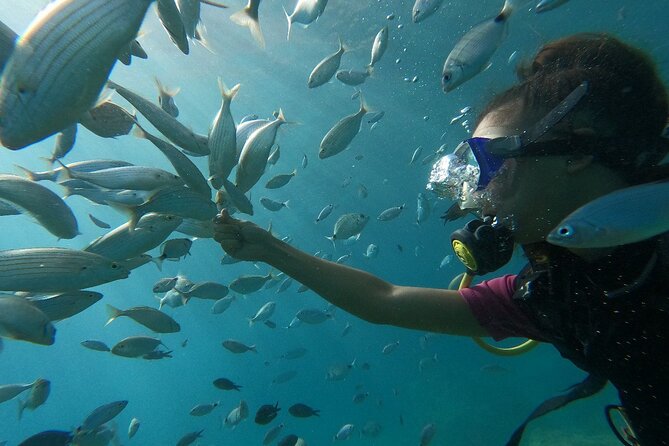 Diving With Optional Pick up - Drop off From Antalya - Participation Requirements