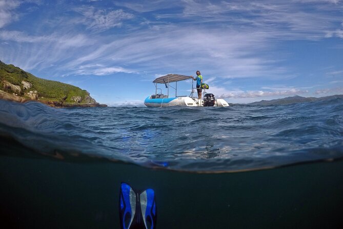 Diving With Turtles in Floripa - Detailed Dive Schedule and Itinerary