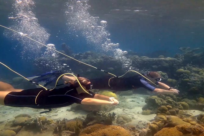 Diving Without Tanks on Your Back! - About Your Stay