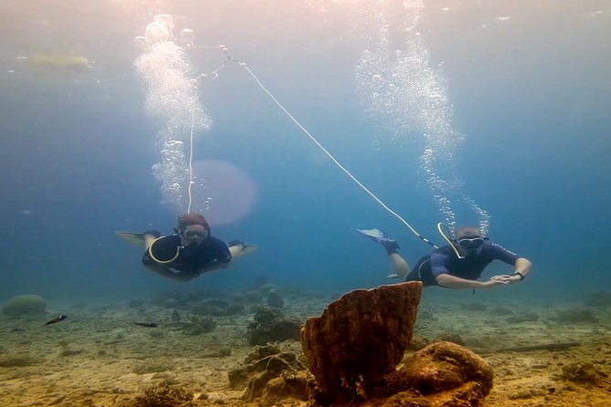 Diving Without Tanks on Your Back! - Preparing for the Dive