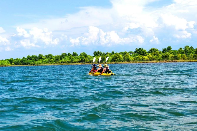 Divjaka-Karavasta Private Tour With Optional Activities  - Tirana - Key Points