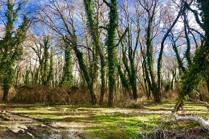 Divjaka-Karavasta Private Tour With Optional Activities  - Tirana - Meeting Point and Concluding Location