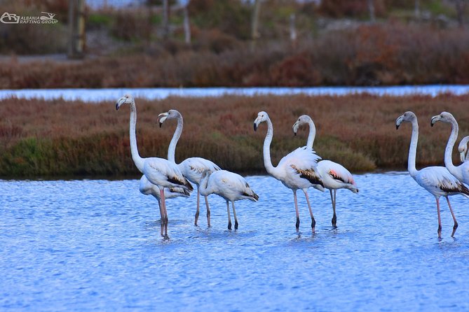 Divjaka-Karavasta Private Tour With Optional Activities  - Tirana - Cancellation and Refund Policy