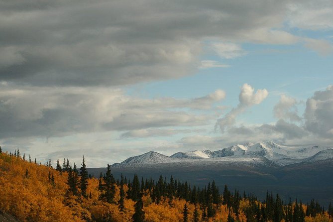 DIY Yukon Tour - Tour Details