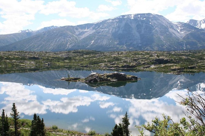 DIY Yukon Tour - Carcross Desert