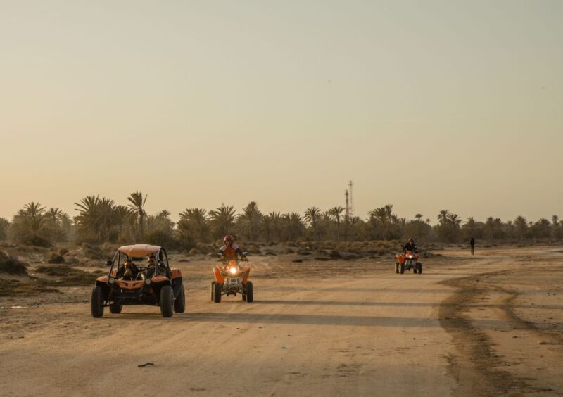 Djerba 1H30 Buggy Adventure: Unleash the Fun - Stunning Djerba Landscapes