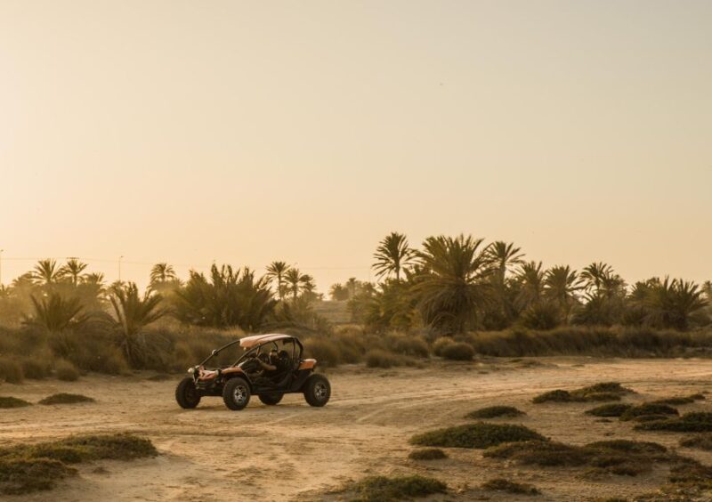 Djerba 1H30 Buggy Adventure: Unleash the Fun - Booking Your Experience