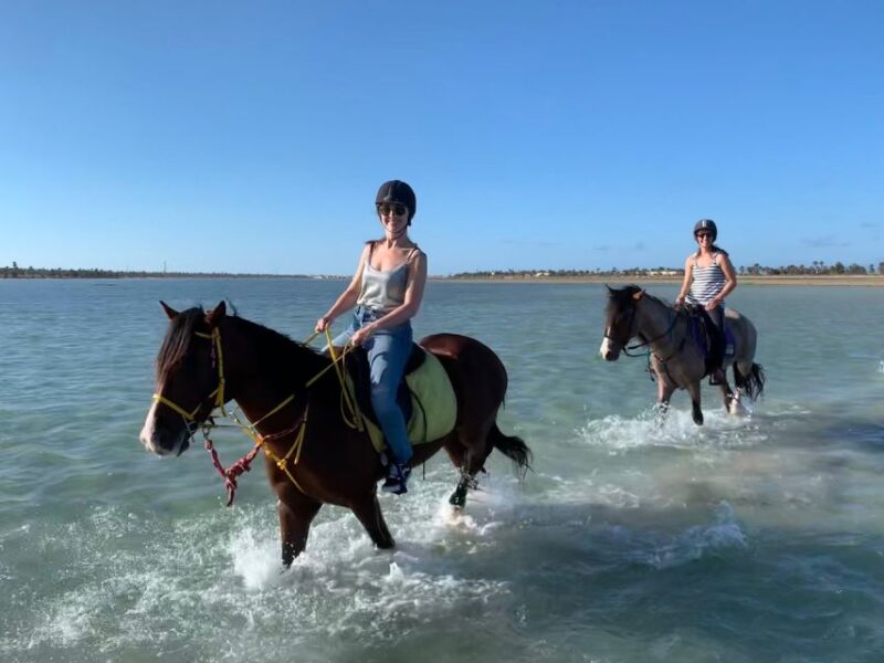 Djerba: 2-Hour Lagoon Horse Riding Experience - What to Expect During Your Ride