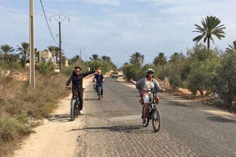 Djerba: Erriadh Djerba Neighborhood E-Bike Tour - Key Points