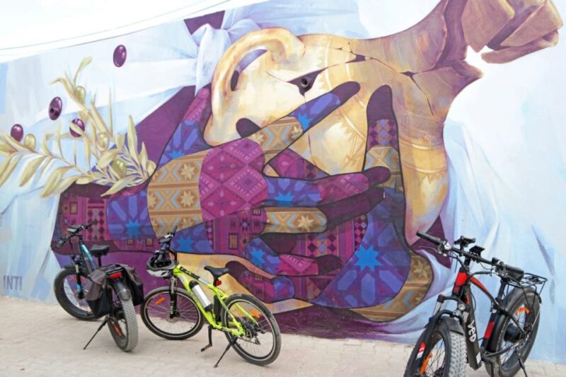 Djerba: Erriadh Djerba Neighborhood E-Bike Tour - E-Bike Experience