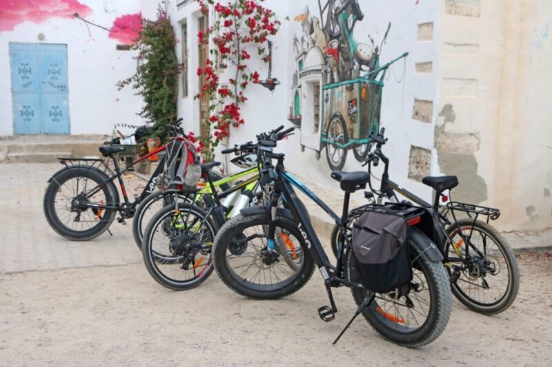 Djerba: Erriadh Djerba Neighborhood E-Bike Tour - Language Options