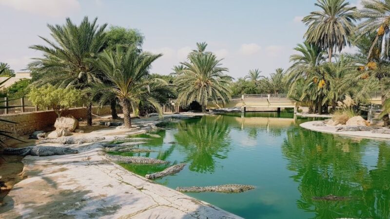Djerba: Explore Park and Crocodile Farm With Pickup - The Crocodile Farm Experience