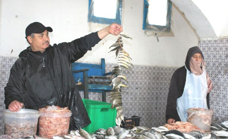 Djerba Family Package Tours - Tour Package Details