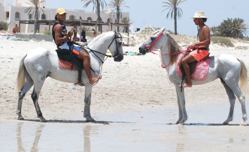 Djerba: Guided Horseback Riding Tour - Key Points
