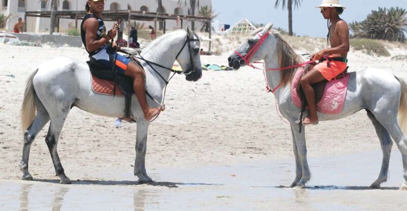 Djerba: Guided Horseback Riding Tour - Experience the Landscape