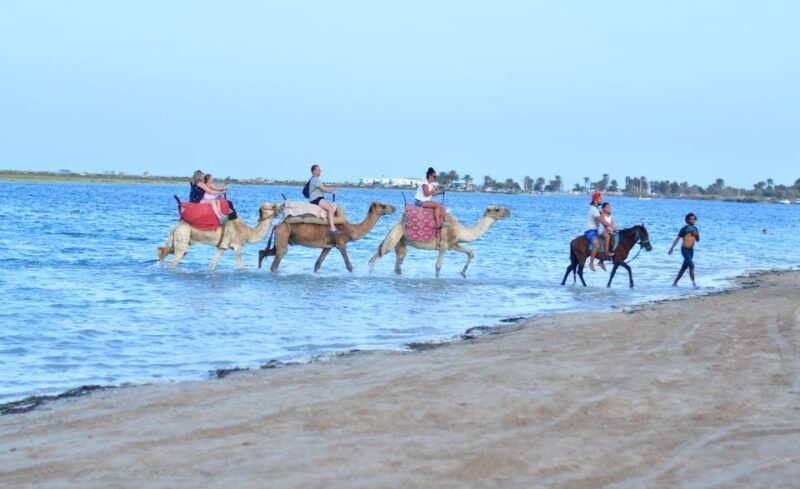 Djerba: Guided Horseback Riding Tour - Itinerary Details