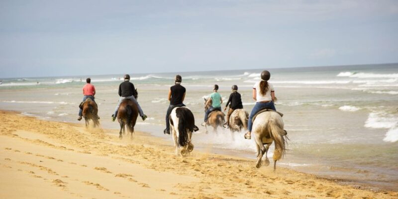 Djerba: Guided Horseback Riding Tour - Requirements for Participation