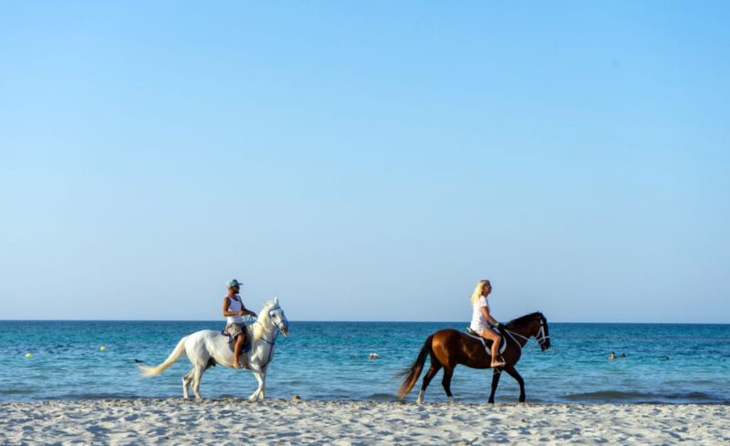 Djerba: Guided Horseback Riding Tour - Booking and Cancellation Policy
