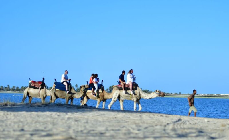 Djerba: Horse and Camel Combo Caravan Tour - Itinerary and Duration