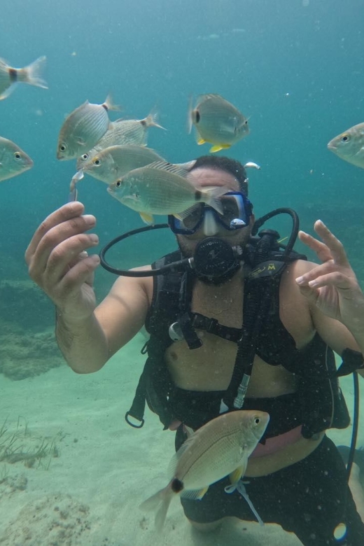 Djerba: Introductory Scuba Diving Session - Duration and Group Size