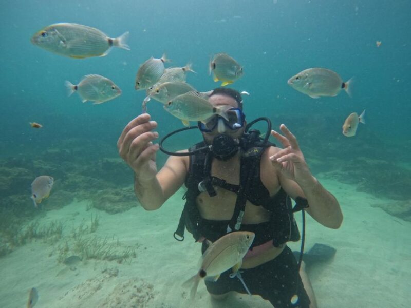 Djerba: Introductory Scuba Diving Session - Activities Included in Session